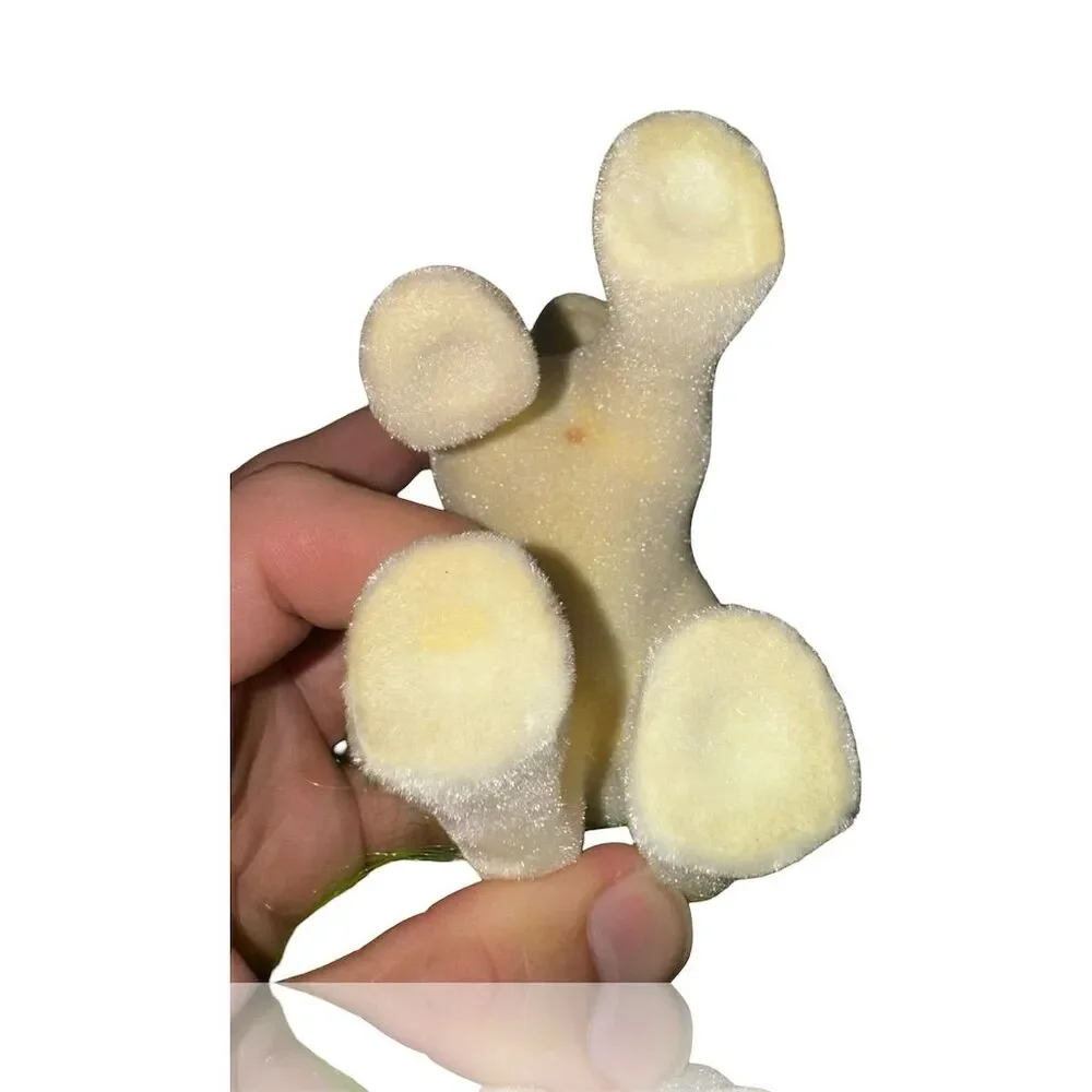 Vintage My Little Pony G1 So Soft Scrumptious 1980s Fuzzy Toy